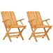 VidaXL Opklapbare tuinstoelen, 2 stuks, Teak