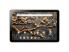 Peaq Pet 10182-h332e / WiFi / 32GB / Black