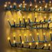 Feeric Light and Christmas - Stuurland voor buiten, 25 m, 1000 l, BC FV T