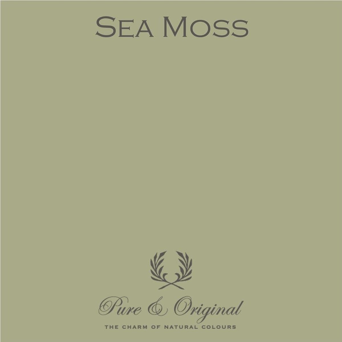 Pure & Original Classico Regular Krijtverf Sea Moss 5L