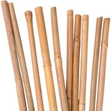 UNUS® Bamboestokken, tonkinstokken, plantensteunen 105 cm, 100 stuks