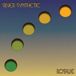 Rosalie Silver Synthetic Rosalie - Coloured Vinyl LP