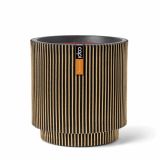 Capi Europe - Vaas cilinder Groove NL - 41x43 - Goud - Opening Ø36
