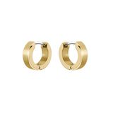 BOSS Sieraden Heren ODELL Collectie Oorringen in Geel Goud - 1580655