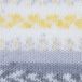 Gründl Wolle 3457-10 Baby color 10x50gram lichtgrijs natuur donkergrijs geel multicolor