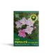 Pufulita T-shirt à petites fleurs, 80 g, Hypericum