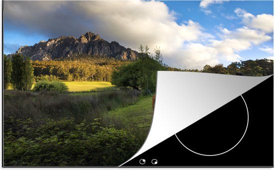 KitchenYeah® Inductie beschermer 77x51 cm - Koeien - Gras - Australië - Inductie beschermer