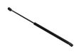 TarosTrade 229-0306-N-74986 gasveer voor achterklep kracht 420N lengte 500mm