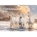 Seelenzauber Paardenmagie KN2023-3W-0014-D-0, DIN A3-kalender voor 2023 paarden en veulen, meerkleurig