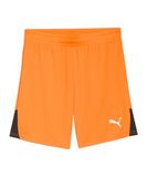 PUMA teamLIGA26 Shorts Jr