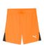 PUMA teamLIGA26 Shorts Jr
