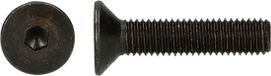 pgb-Europe PGB-FASTENERS BZK-schroef VK 10.9 VD D. 7991 M12x20 | 100 st