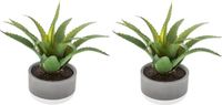 Atmosphera Set van 2x stuks kunstplanten in pot van cement 22 cm
