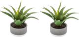 Atmosphera Set van 2x stuks kunstplanten in pot van cement 22 cm