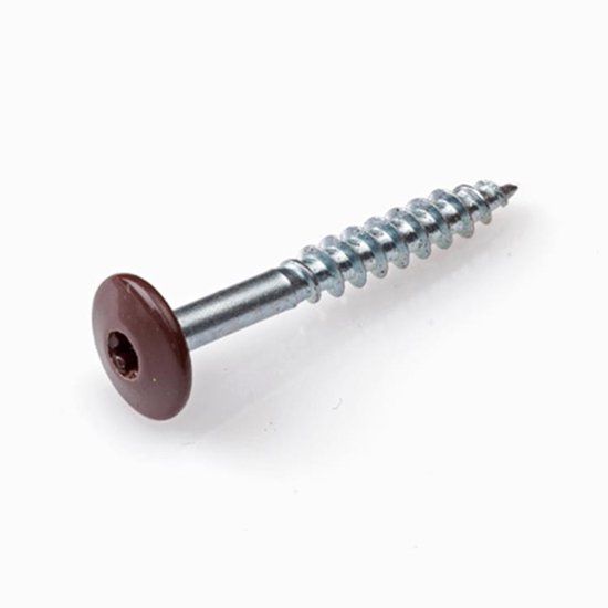 Hoenderdaal Fasteners Hoenderdaal HPL Schroef RVS-A2 Torx TX20 Sepiabruin RAL8014 4.8x32 | 100 stuks