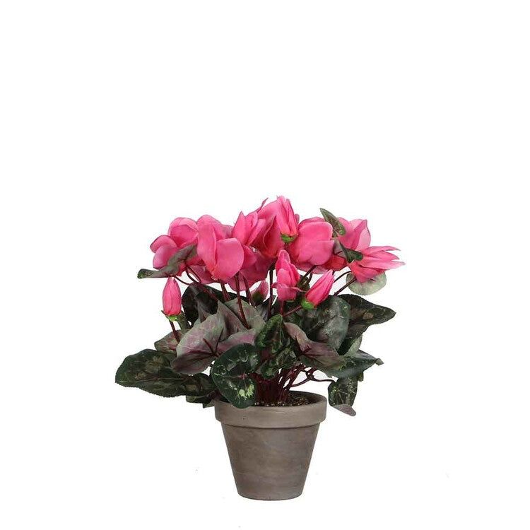 Mica Decorations Cyclamen in Pot Stan Grijs (Dia 11) - Light Pink - 30x30cm