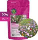 MRS Seeds & Mixtures MR Seeds Wildbloemenmengsel - Eén- & meerjarige bloemzaden – Wilde bloemen - 45 bloemsoorten – 50 gram - Voor 25 m² – Aantrekkelijk voor vlinders en bijen