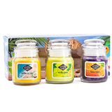 Candle-Brothers Geurkaarsen set in glas met deksel | Beach Bar | 3 als cadeauset | kleine (kokosnoot, citroen en tequila Sunrise) | cadeauset voor Moederdag