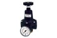 RIEGLER Drukbegrenzingsventiel, incl. manometer, G 1/2, instelbereik 0,5-5,5 bar, medium/omgevingstemperatuur. Maximale 60 graden Celsius.
