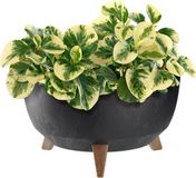 KADAX Bloempot Kunststof Zwart Diameter 39,5 cm