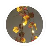 WatioWave 1,5 m lange led-lichtketting met esdoornbladeren en eikels, werkt op batterijen, ideaal voor de decoratie van evenementen en voor het verfraaien van ruimtes.