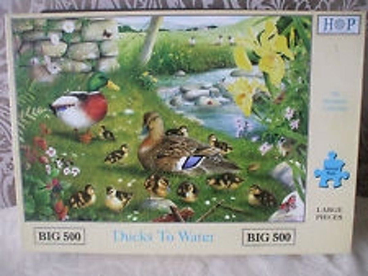 House Of Puzzles Ducks To Water 500 Big