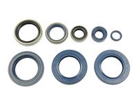 Athena P400270400006 asafdichtingset motor
