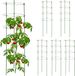 Relaxdays Plantensteun set van 6 - 90 cm hoog - tomatensteun - groen