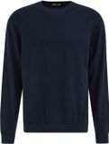 WE Fashion Heren regular fit trui