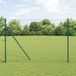 vidaXL Euro Hek 1,6 x 10 m PVC-gelaagd IJzer Groen