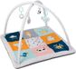Eurekakids Babygym avec tapis de jeu extra épais (3 cm) - Tapis pour bébé avec différentes textures - Avec arche