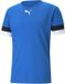 Puma Teamrise Jersey T-Shirt Blauw - Heren - Maat XS