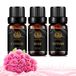 Aphrosmile Huile essentielle de vétiver de qualité thérapeutique pour diffuseur, lot de 3 huiles essentielles de rose pures à 100 % de 10 ml pour massage, kit d'huiles essentielles de cyprès d'aromathérapie pour la fabrication de bougies