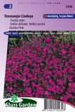 Sluis Garden Steenanjer Lindoya (Dianthus) Roze 550 stuk(s)