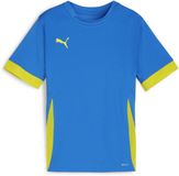 Puma TeamGoal wedstrijdshirt voor kinderen jr 705748