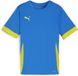 Puma TeamGoal wedstrijdshirt voor kinderen jr 705748
