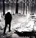 This Graham Nash This Path Tonight (LP)