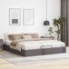 Prolenta Maison Exclusive - Cadre De Lit Ottoman Sans Matelas Gris 200x200 Cm Similicuir