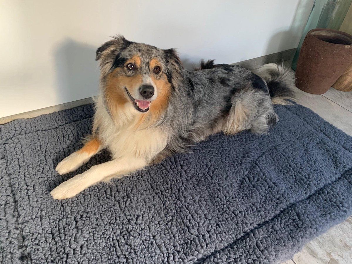 HuggleHound HuggleHounds - Wasbare Fleece Hondenmat - Grijs - XL