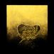 Ballast Luna Honey - Ballast (LP)