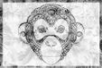 A.S. Création Papier peint MonkeyPattern3 DD118105