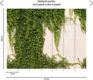 A.S. Création Klimop Muur Fotobehang