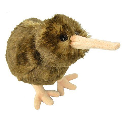 Wild Planet All About Nature-26 cm Kiwi-Hecho Hand Realistisch, meerkleurig (K8260