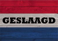 Bellatio Decorations Vintage geslaagd / afgestudeerd poster 84 x 59 cm
