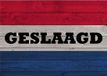 Bellatio Decorations Vintage geslaagd / afgestudeerd poster 84 x 59 cm