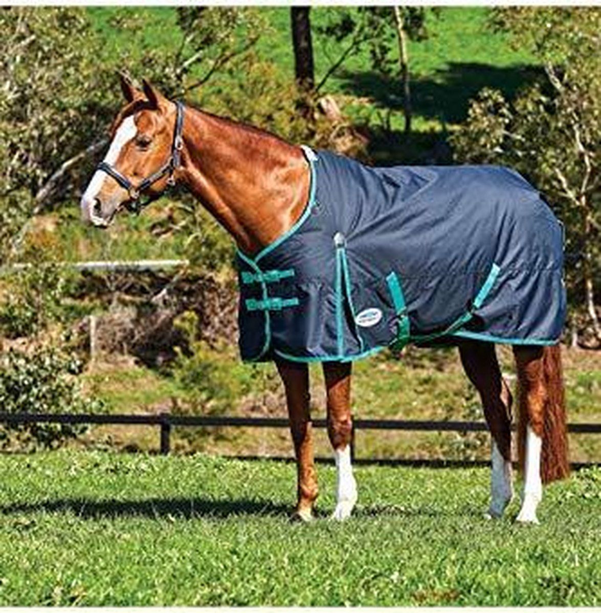 WeatherBeeta RelaxPets - Paardendeken - CoFiTec - Classic - Waterdicht - 220 Gram - 600 Denier - 200 cm - Zwart