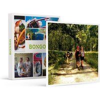 Het Bolhuis Ezelwandeling voor 4 bij Het Bolhuis in Diest