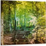 Merkloos / Sans marque Dibond Foto op Aluminium - Stenen Trap in Bloeiend Groen Bos - 100x100 cm - Landelijk