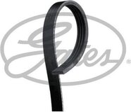 GATES 4PK718 Micro-V Xf Ribbed V-Belt - Universeel