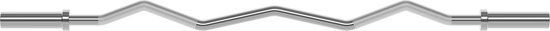Focus Fitness Barre de musculation - 120 cm - Ø 30 mm - Chrome - 250 kg
